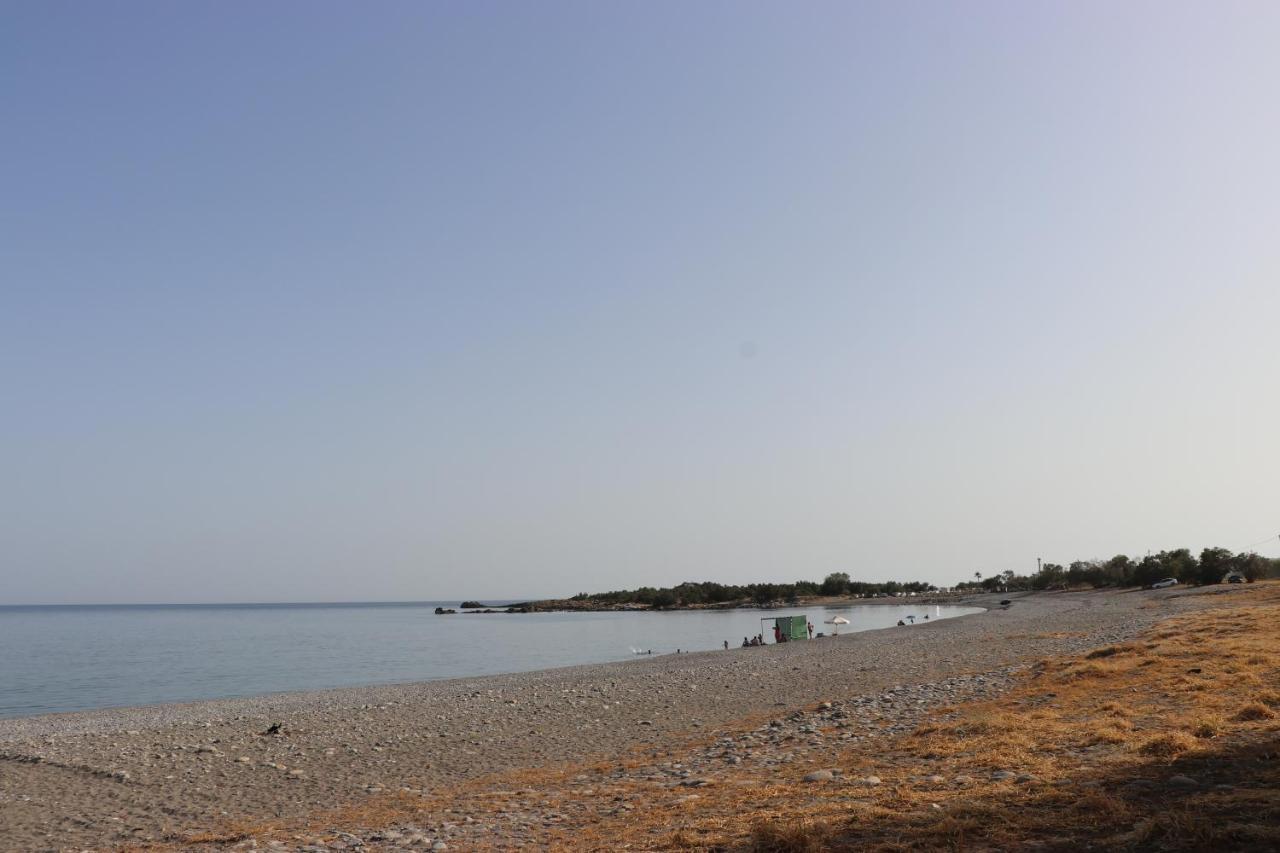 Grammeno Seaside Studios 帕琉乔拉 外观 照片