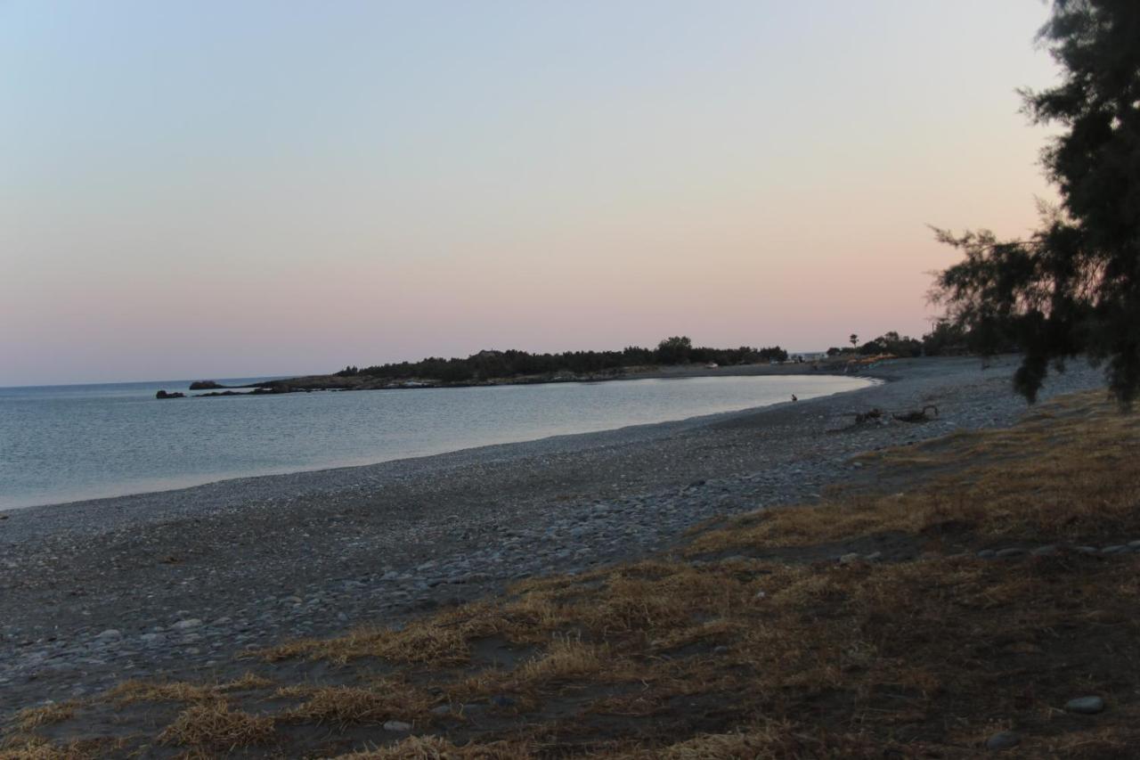 Grammeno Seaside Studios 帕琉乔拉 外观 照片